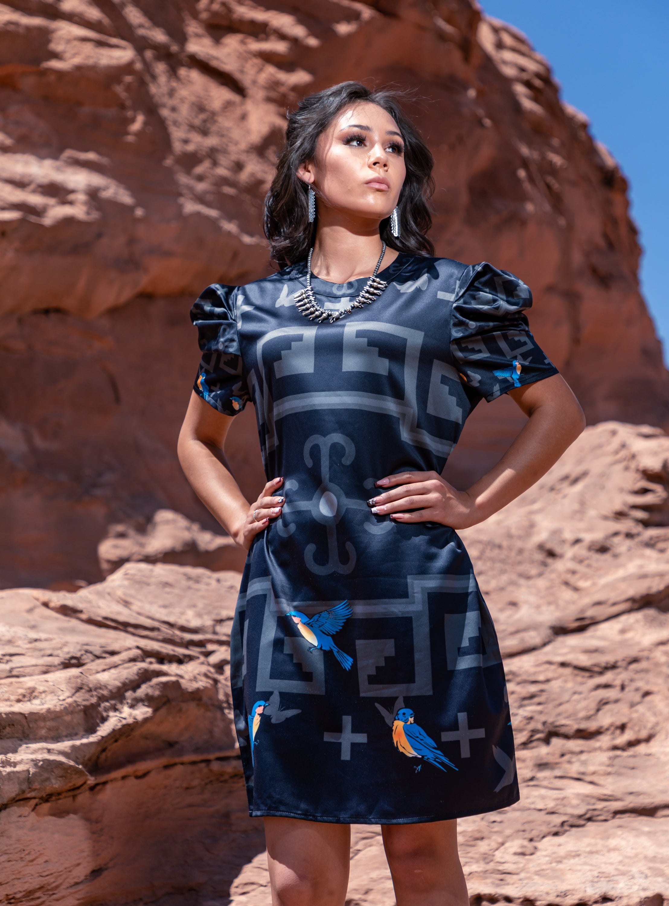 Bluebird Blessings Puffed Sleeve Dress